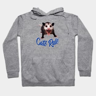 Cats Rule! ~ Possum Hoodie